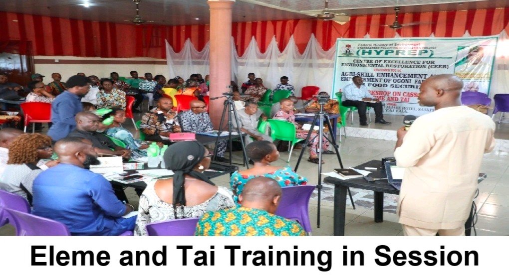 Eleme and Tai Training In Session